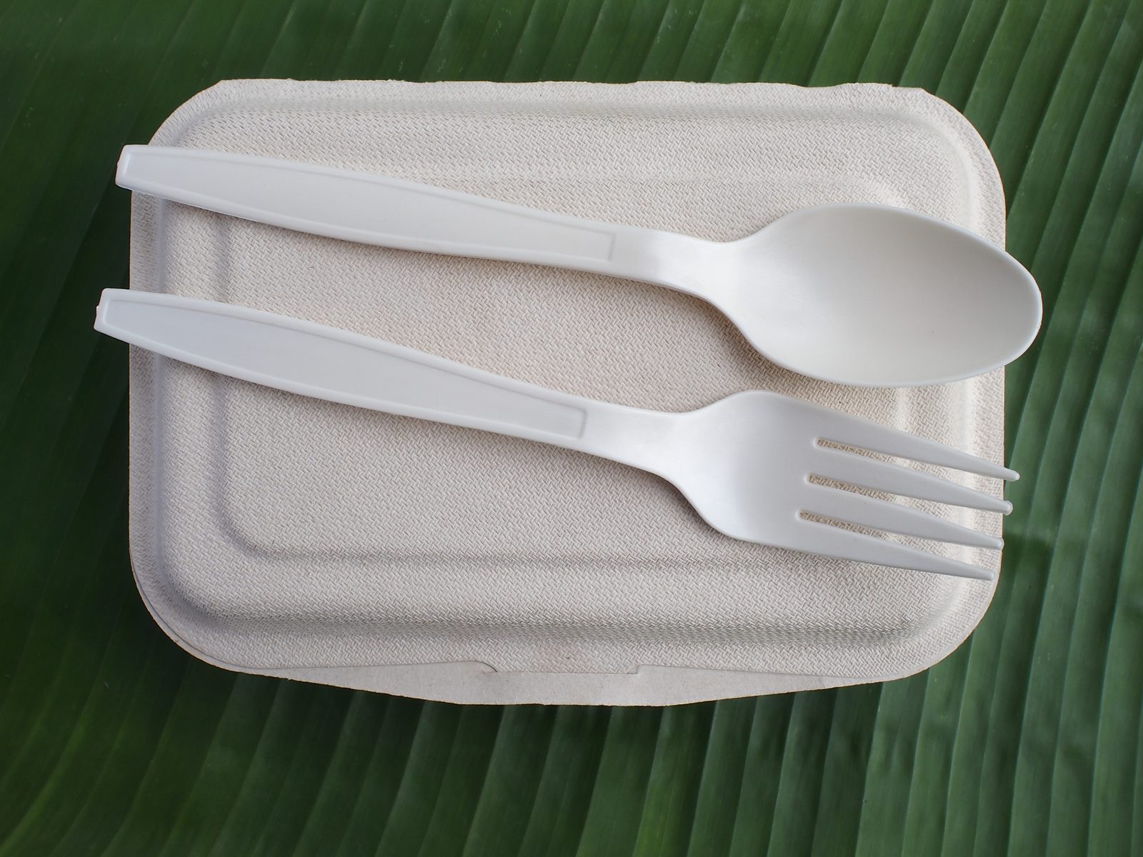 Bioplastic cutlery and fibre tray on a banana leaf